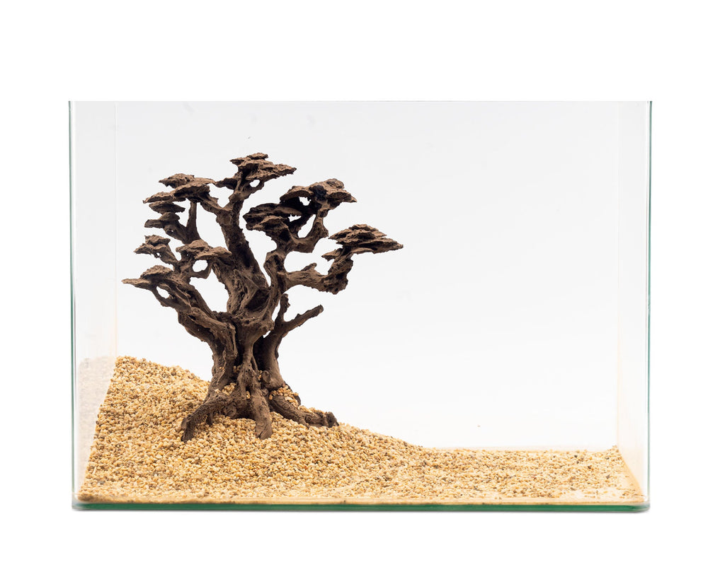 NatureHolic - Stone Bonsai - Mugen - Bestell Artilkel!