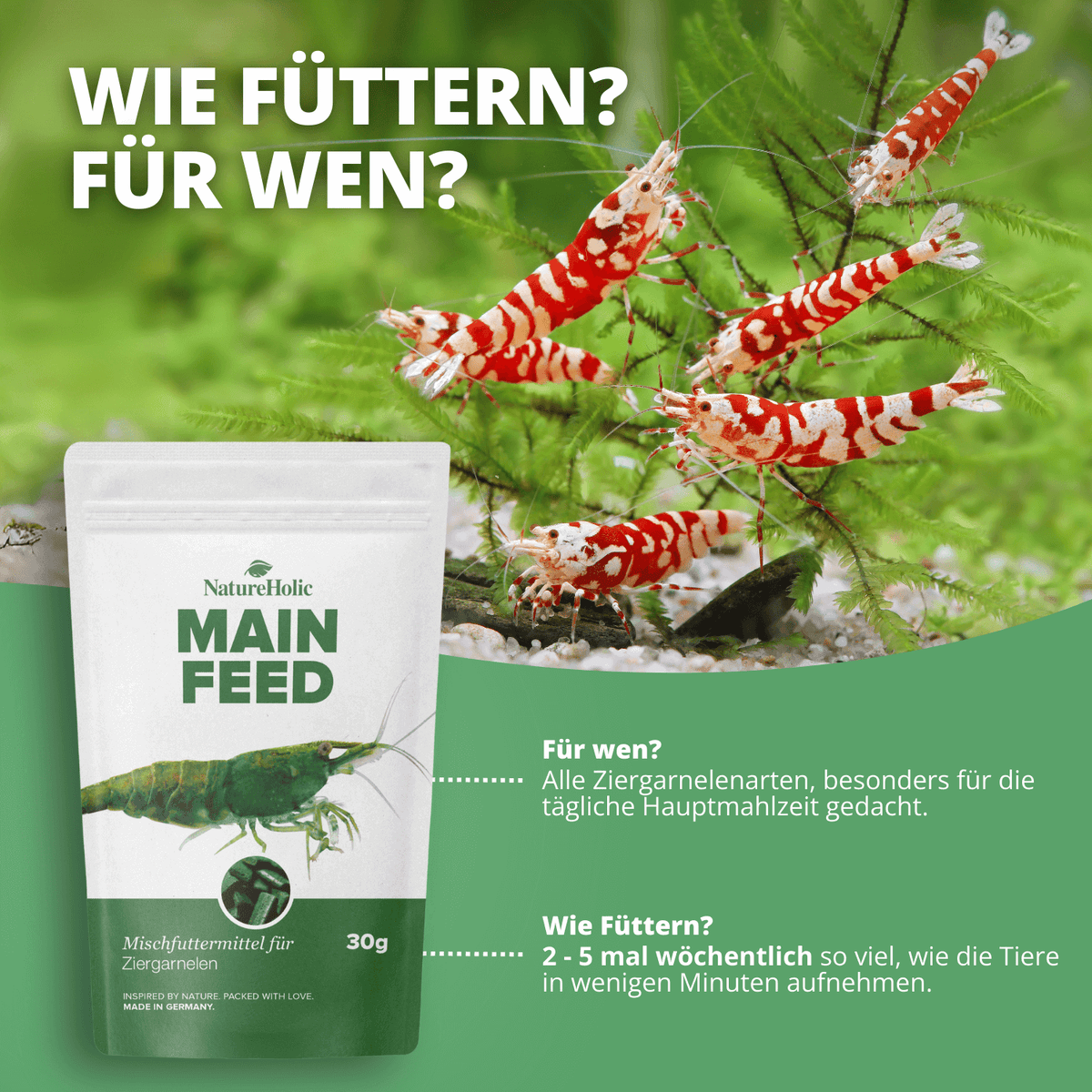 Mainfeed Probepackung