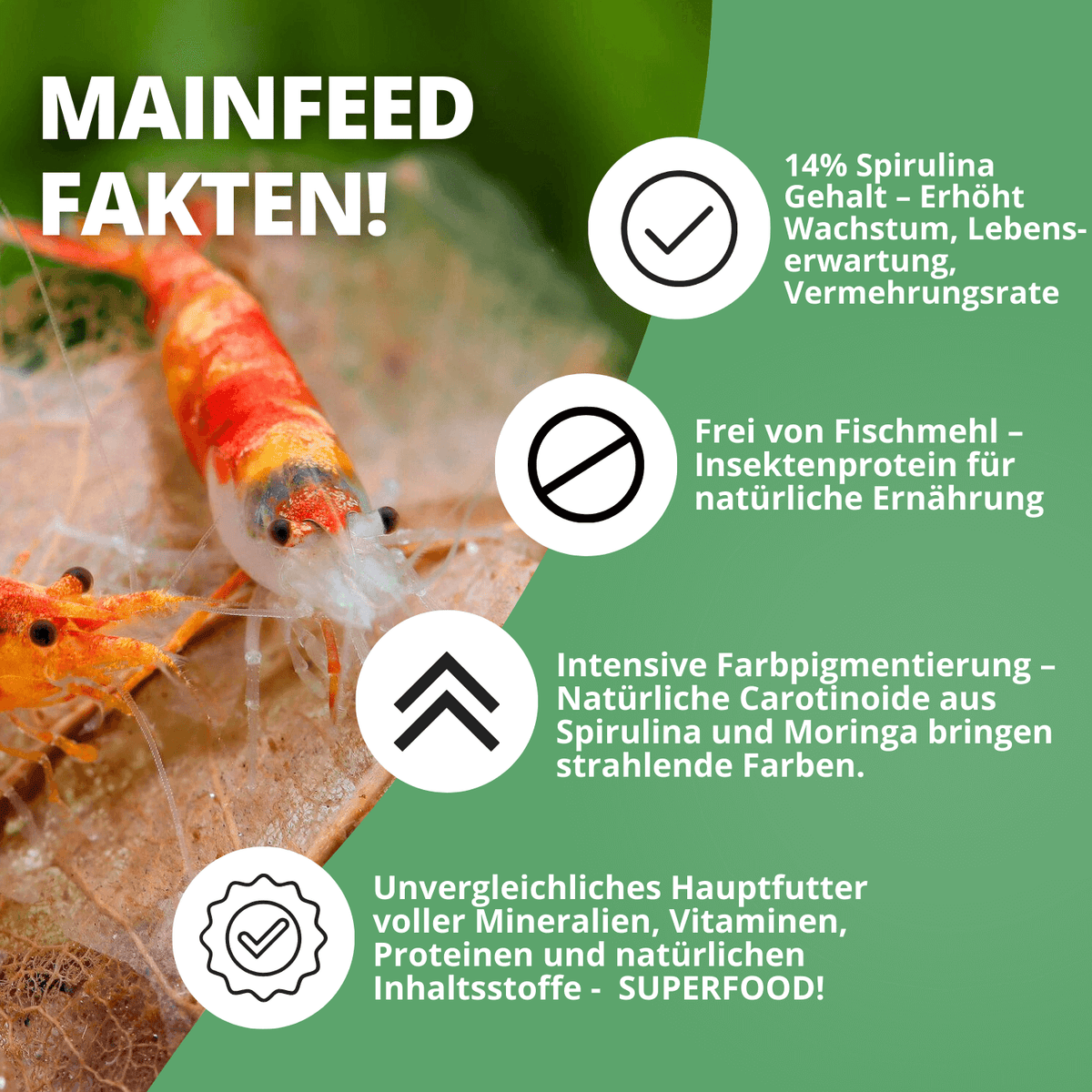 Mainfeed Probepackung