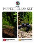 Perfect Clean Set BlueAlpin 5 Amanogarnelen+ 5 Stahlhelmschnecken