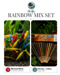 Rainbow Set 10x Neocaridina Davidi mix+ Shrimp-Lollies Super-Mix #1 (11 Stück)