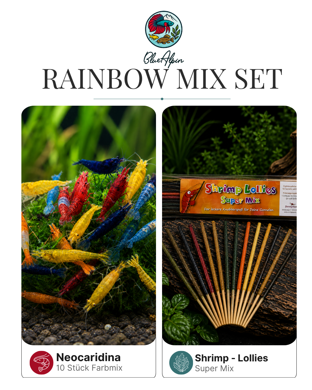 Rainbow Set 10x Neocaridina Davidi mix+ Shrimp-Lollies Super-Mix #1 (11 Stück)