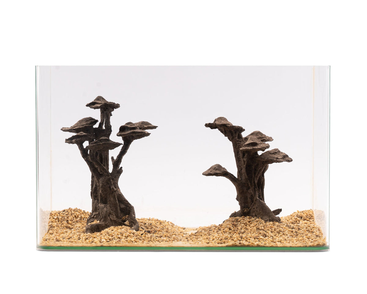 NatureHolic - Stone Bonsai - Shizukana - Bestell Artilkel!