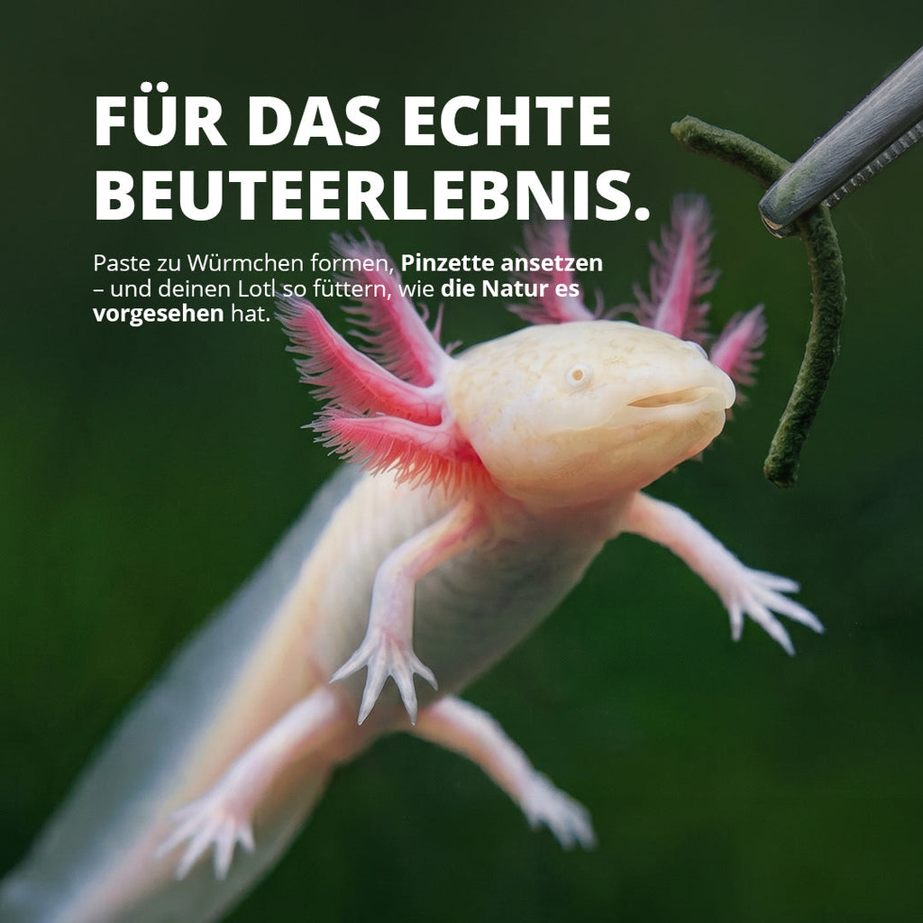 NatureHolic Axolotl Pudding – Formbare Futterpaste für Axolotl