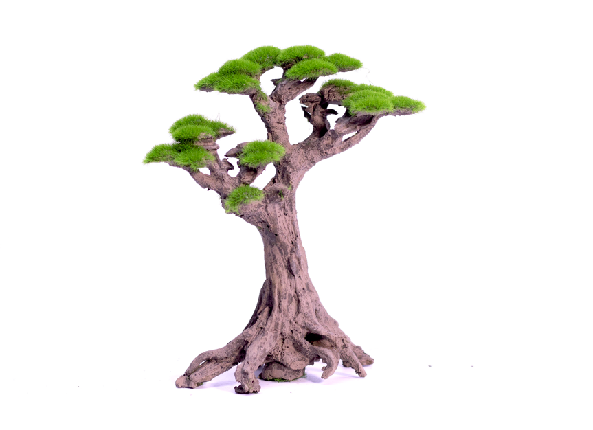 NatureHolic - Stone Bonsai - Pico- Bestell Artikel!