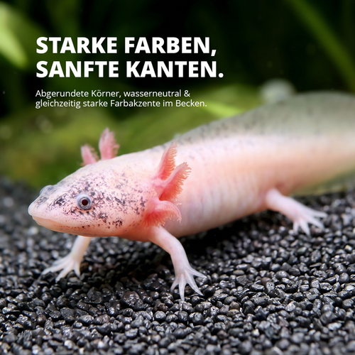 Black Axolotl Ground - 10kg Spezialbodengrund für Axolotl