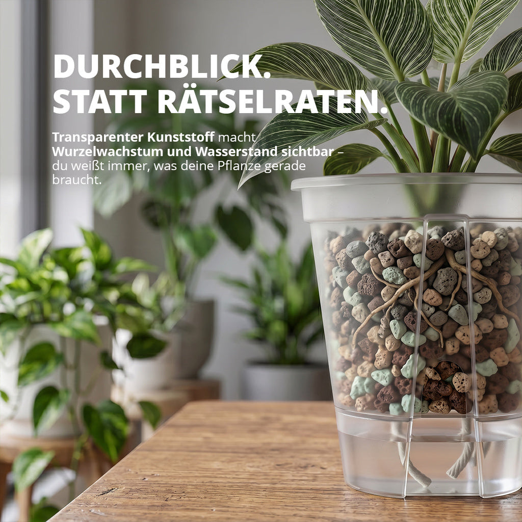 NatureHolic Junglepot - Selbstbewässernder Topf