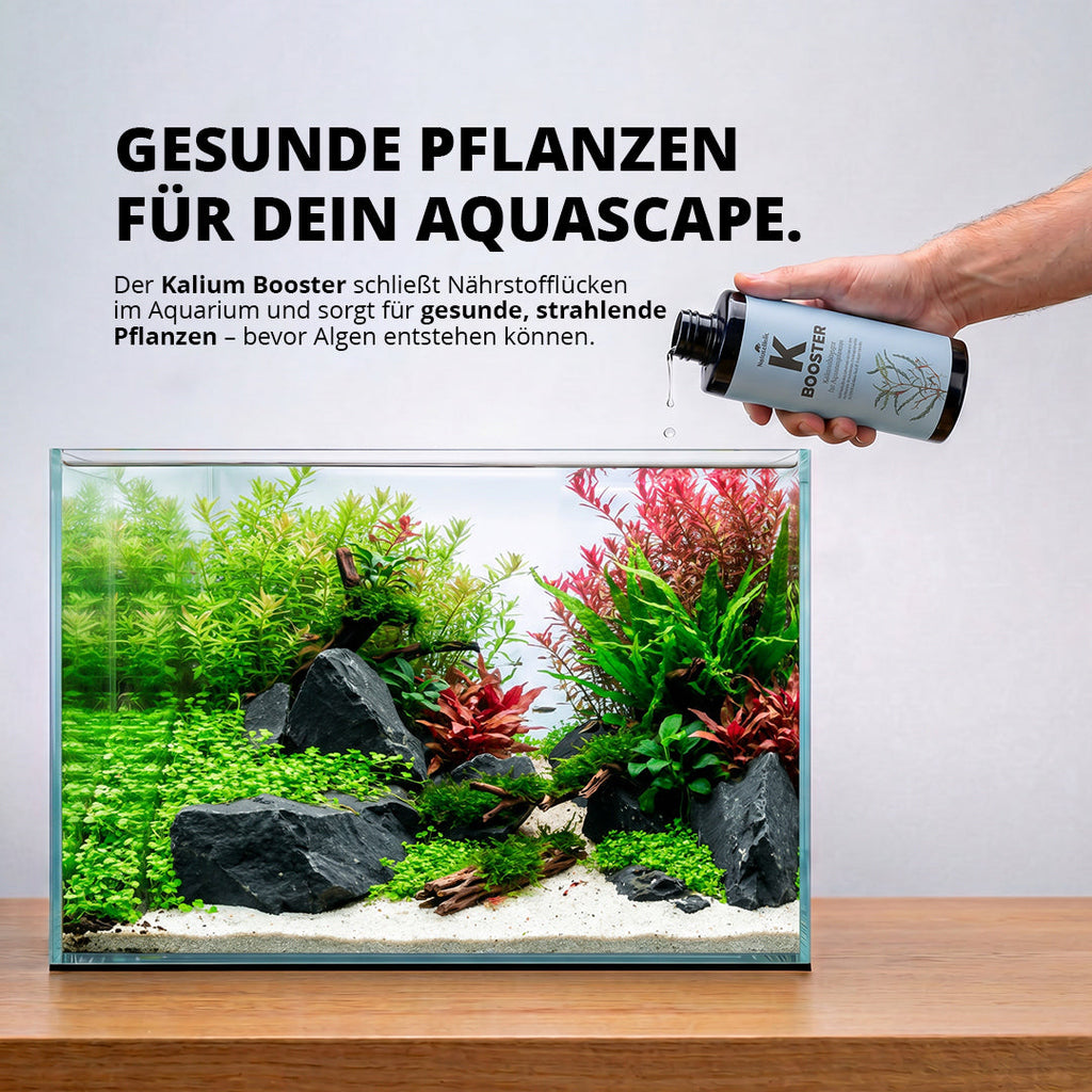 NatureHolic - K Booster - flüssiger Kalium Aquariumdünger