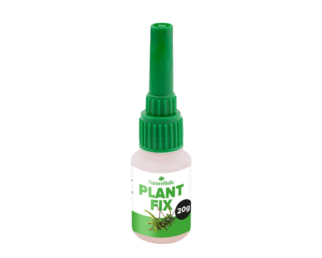 NatureHolic - Plant Fix - Pflanzenkleber - 20g
