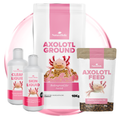 NatureHolic Axolotl Rundum Sorglos-Paket