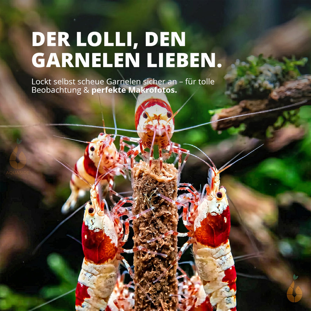 NatureHolic - Garnelen Lollies „Brennnessel Boost“ - 5 Lollis fürs Aquarium