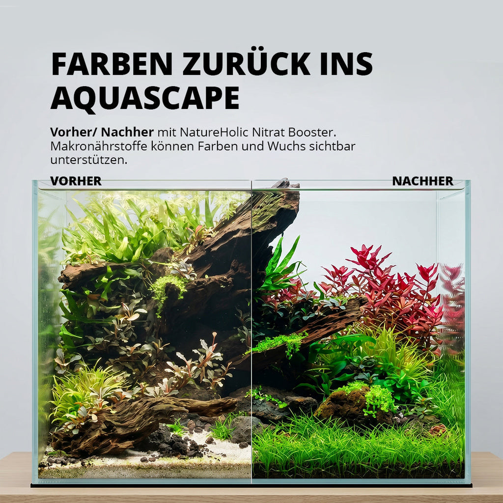 NatureHolic - N Booster - flüssiger Nitrat Aquariumdünger
