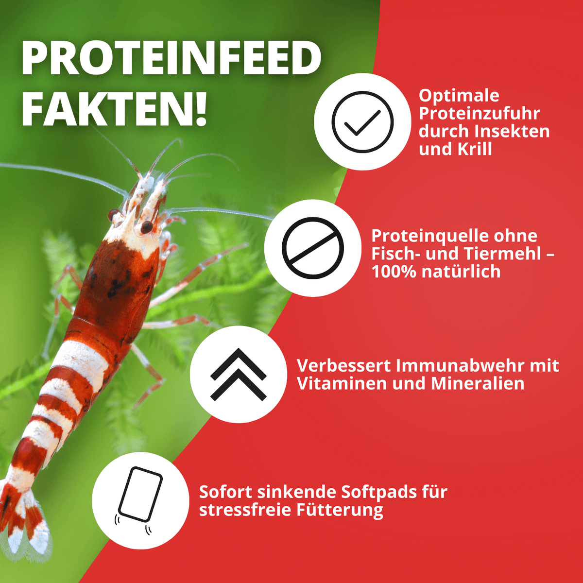 NatureHolic - Proteinfeed Garnelenfutter - 30g
