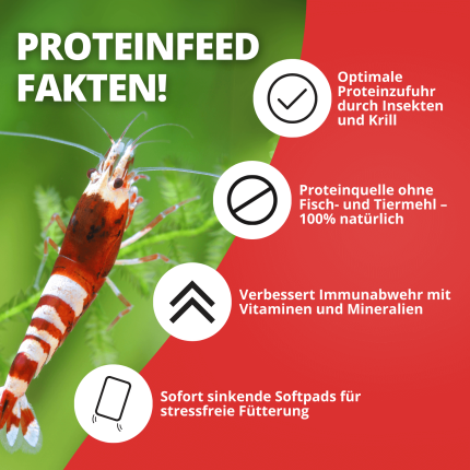 NatureHolic - Proteinfeed Garnelenfutter - 30g