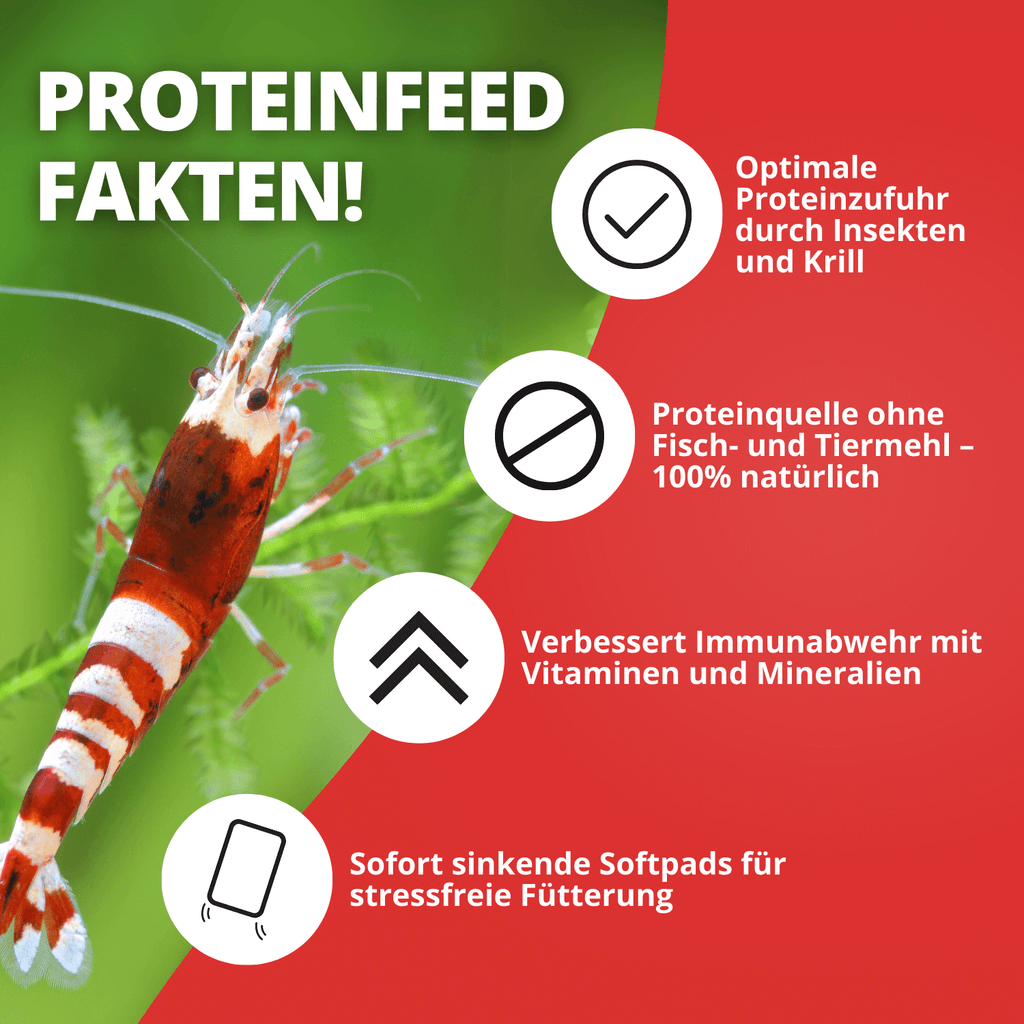 Proteinfeed Probepackung