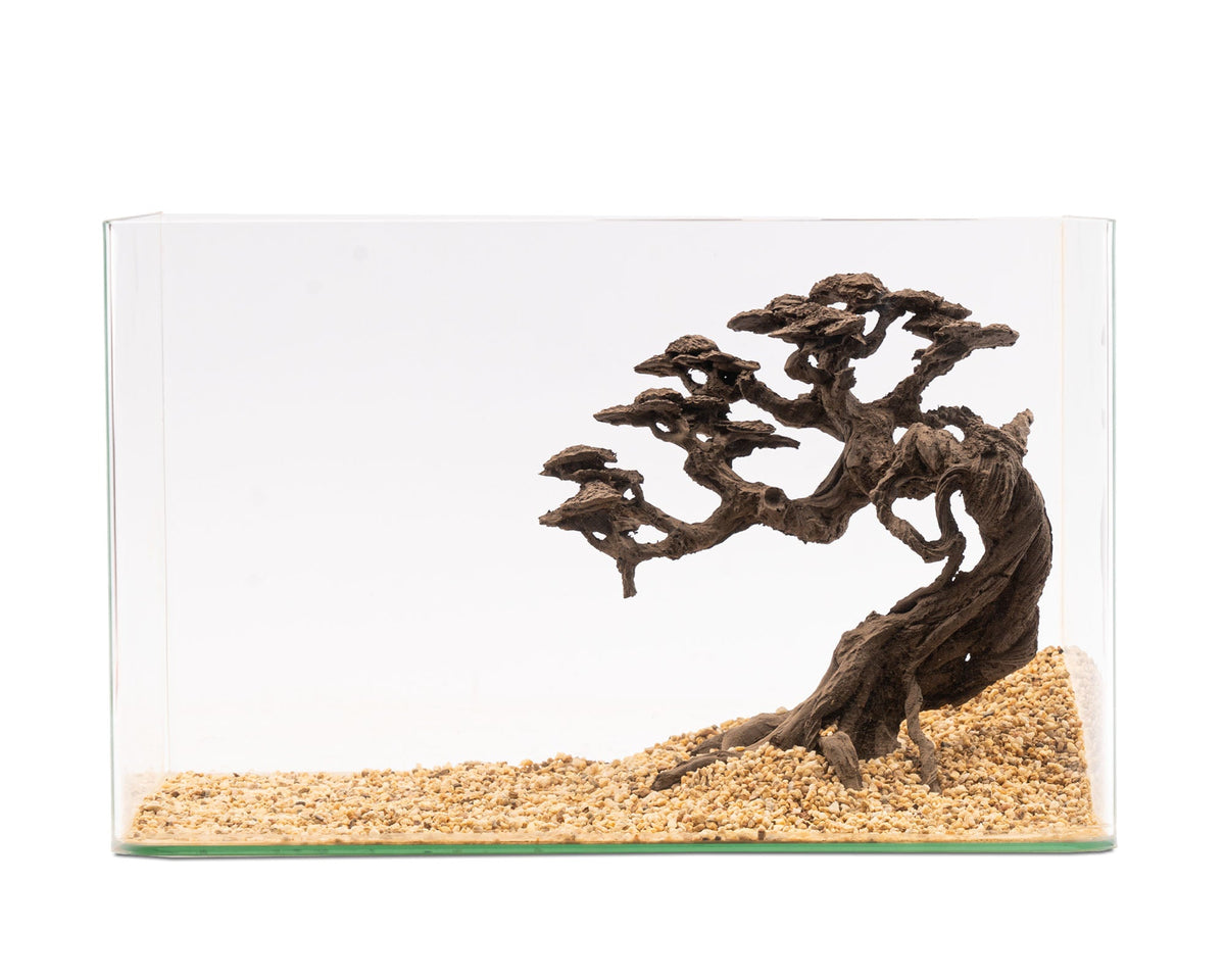 NatureHolic - Stone Bonsai - Kengai- Bestell Artilkel!