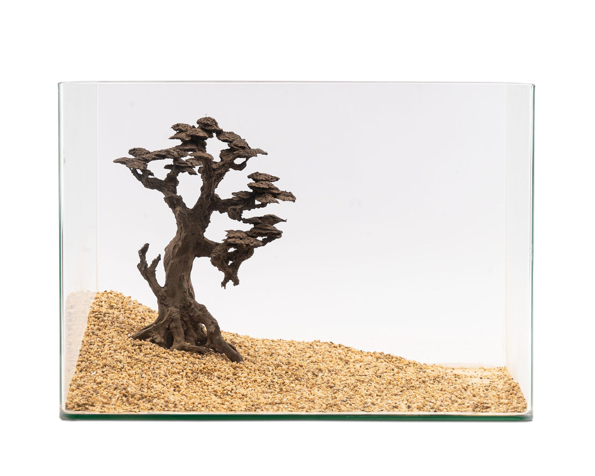 NatureHolic - Stone Bonsai - Koboku - Bestell Artilkel!