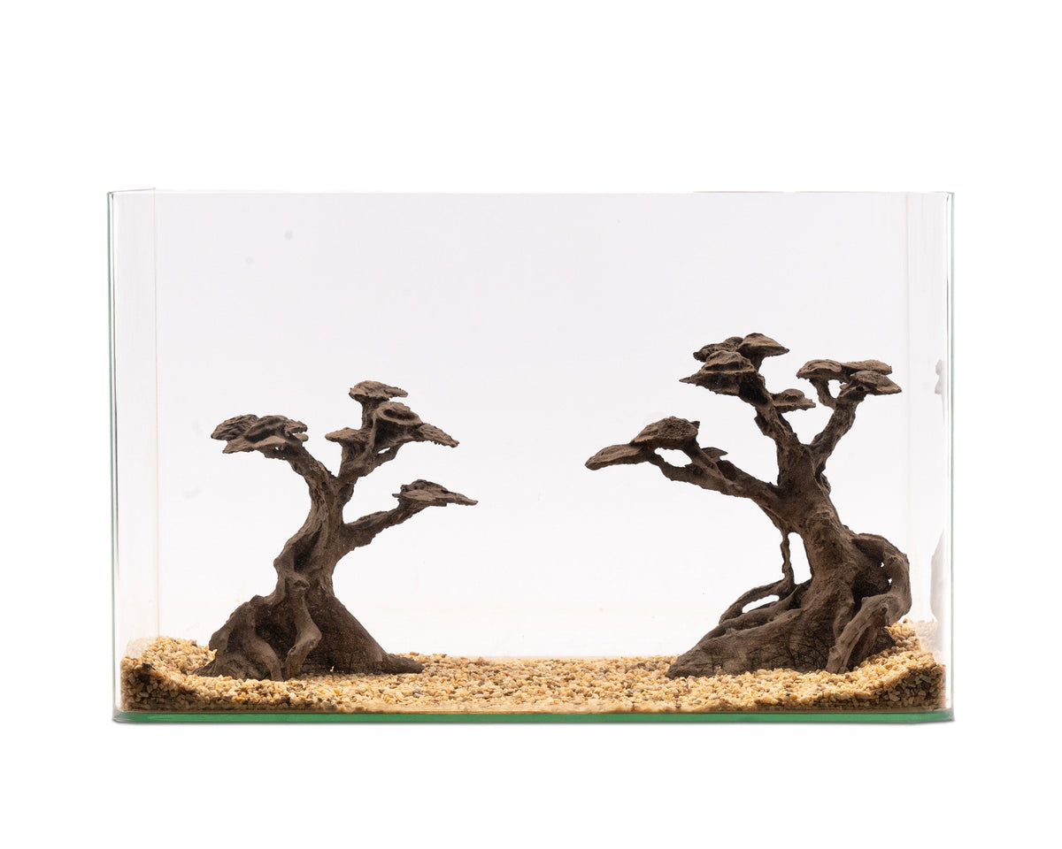 NatureHolic - Stone Bonsai - Kasei Twin - Bestell Artilkel!
