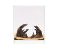 NatureHolic - Ready to Scape - Dragon's Gate 30 - Bestell Artilkel!