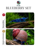 Blueberry Set – 20 Liter Standard