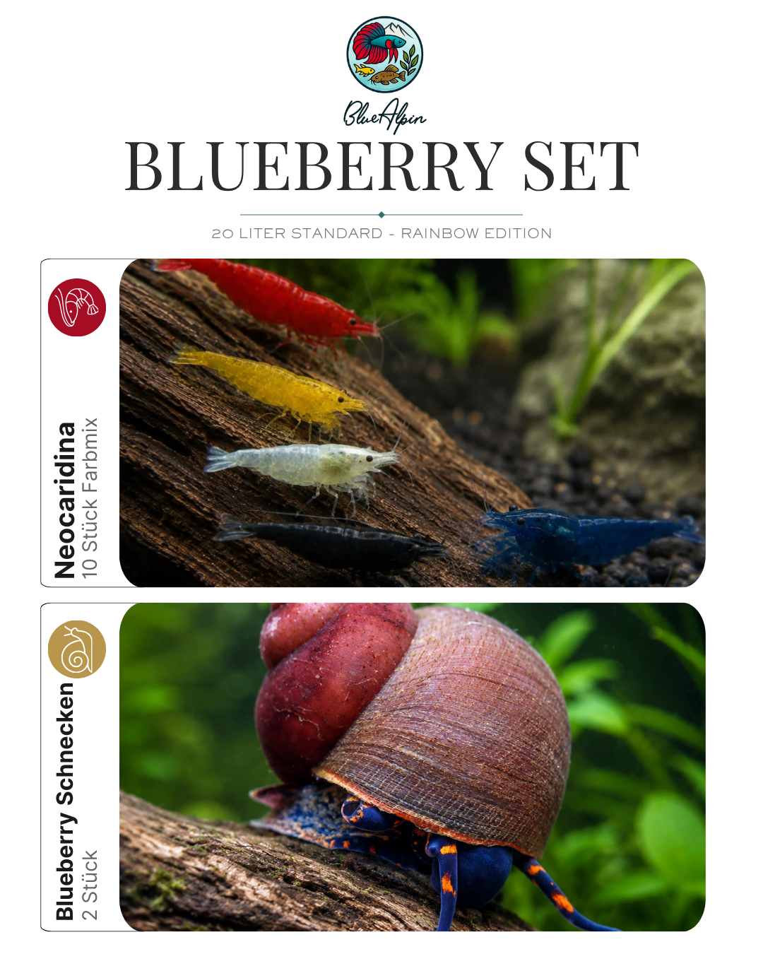 Blueberry Set – 20 Liter Rainbow