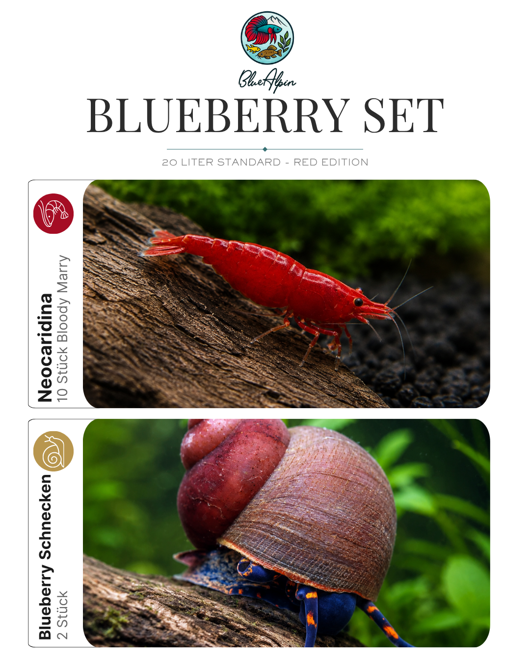 Blueberry Set – 20 Liter Red Edition