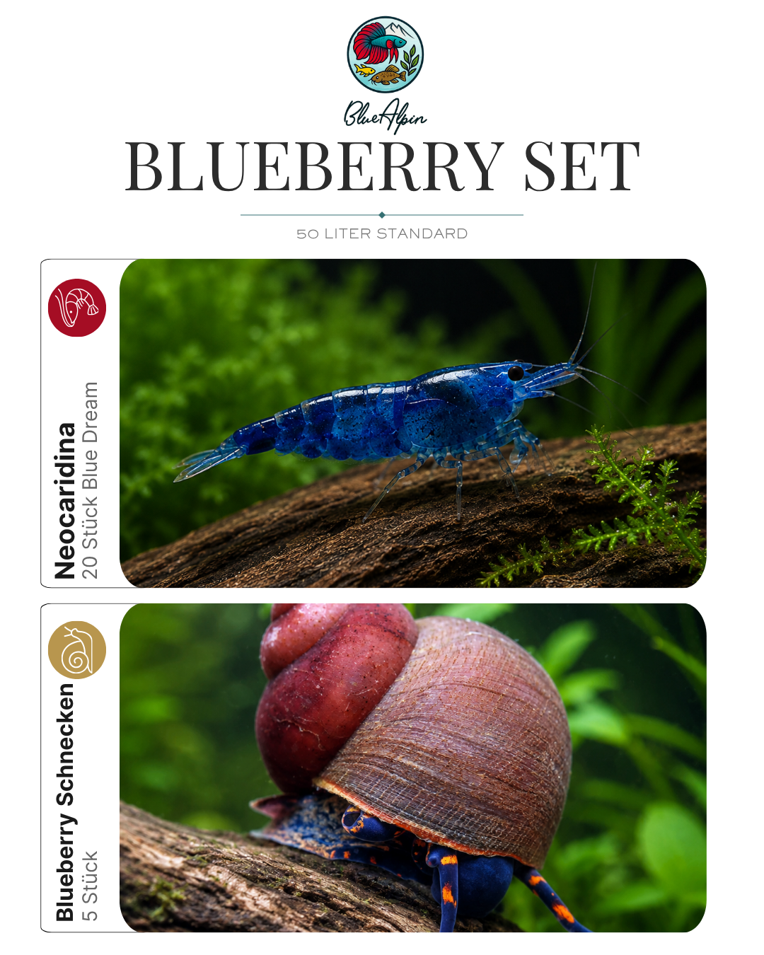 Blueberry Set – 50 Liter Standard