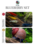 Blueberry Set – 50 Liter Rainbow