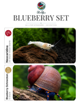 Blueberry Set – 50 Liter ICE Edition