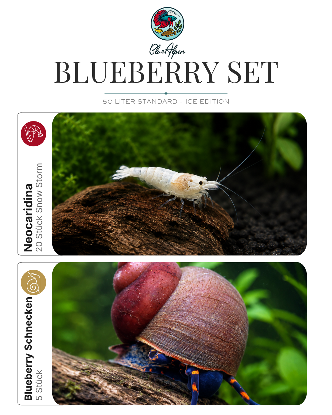 Blueberry Set – 50 Liter ICE Edition