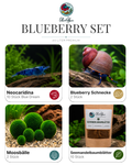 Blueberry Set – 20 Liter Premium