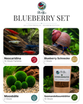 Blueberry Set – 20 Liter Rainbow Premium