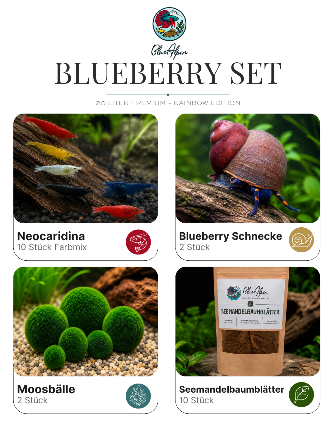 Blueberry Set – 20 Liter Rainbow Premium