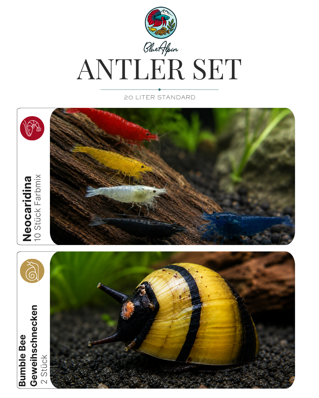 Antler Set BlueAlpin 20 Liter