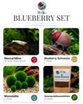 Blueberry Set – 20 Liter ICE Edition Premium