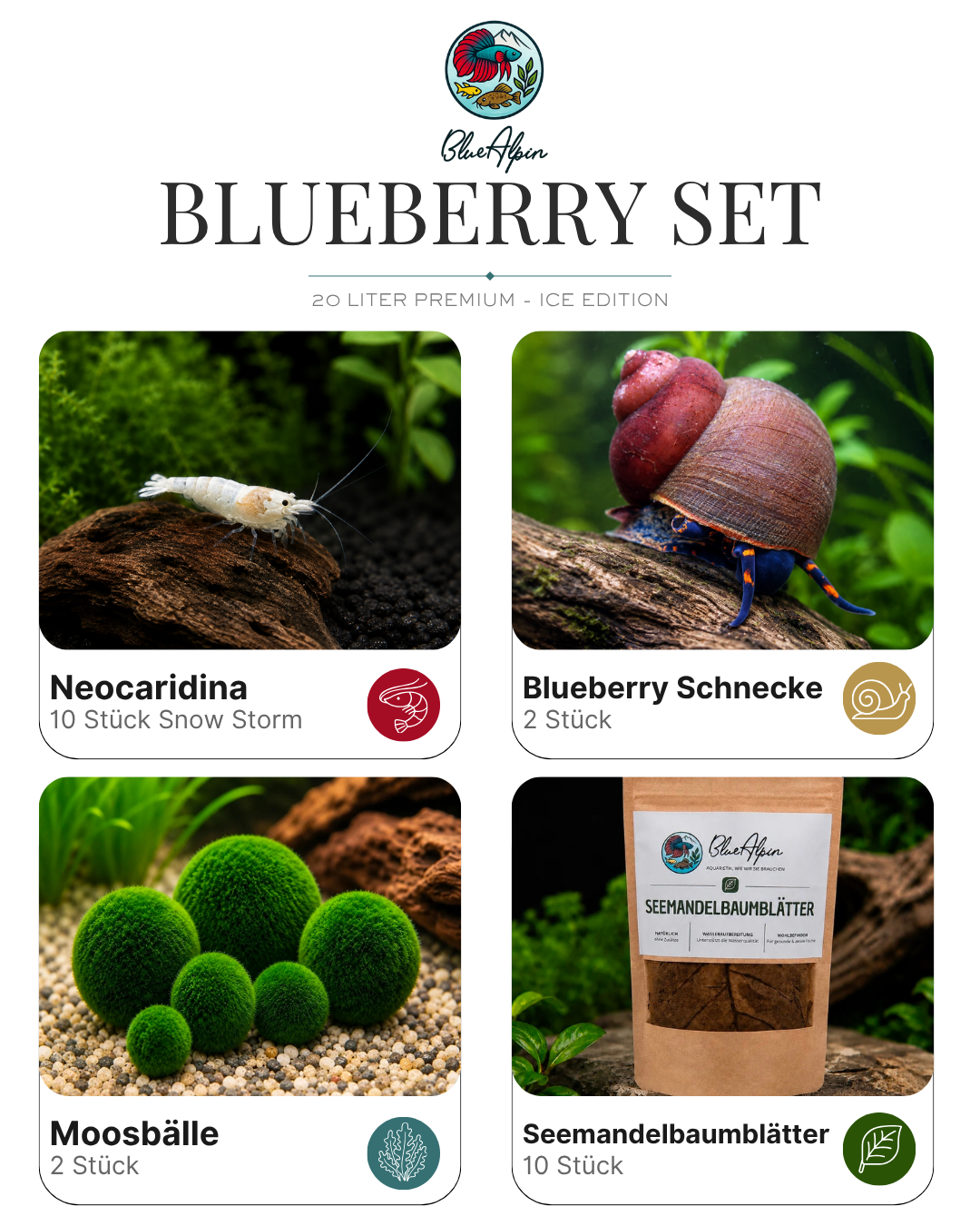 Blueberry Set – 20 Liter ICE Edition Premium