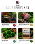 Blueberry Set – 50 Liter Rainbow Premium