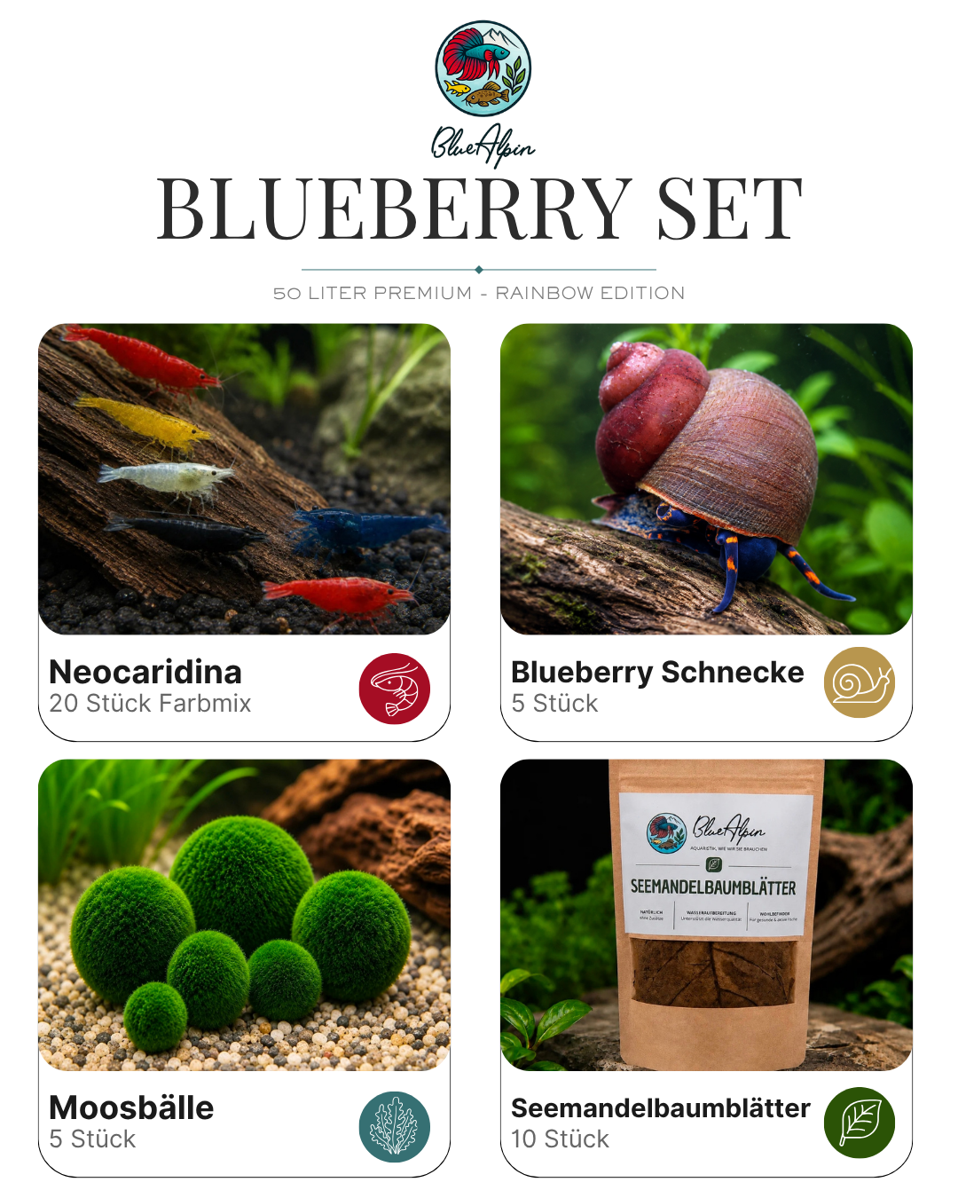 Blueberry Set – 50 Liter Rainbow Premium