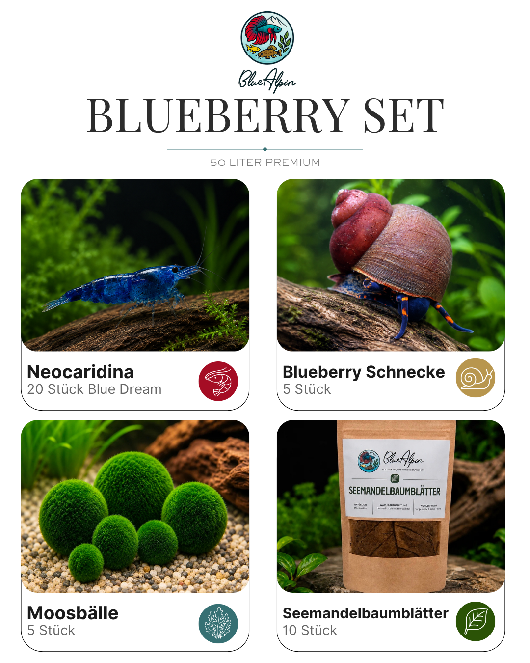 Blueberry Set – 50 Liter Premium
