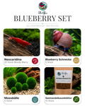 Blueberry Set – 50 Liter Red Edition Premium