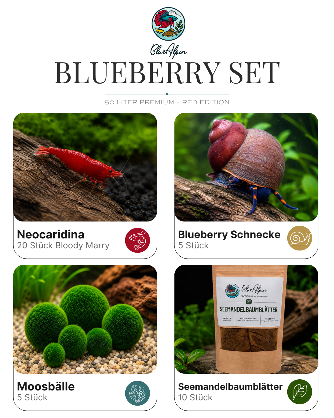 Blueberry Set – 50 Liter Red Edition Premium