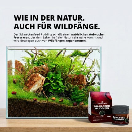 NatureHolic - Schneckenfeed Pudding - 50g