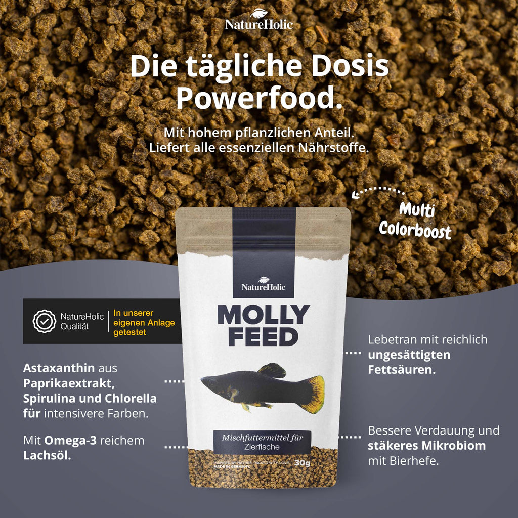 NatureHolic MollyFeed - Molly Futter - Fischfutter 30g