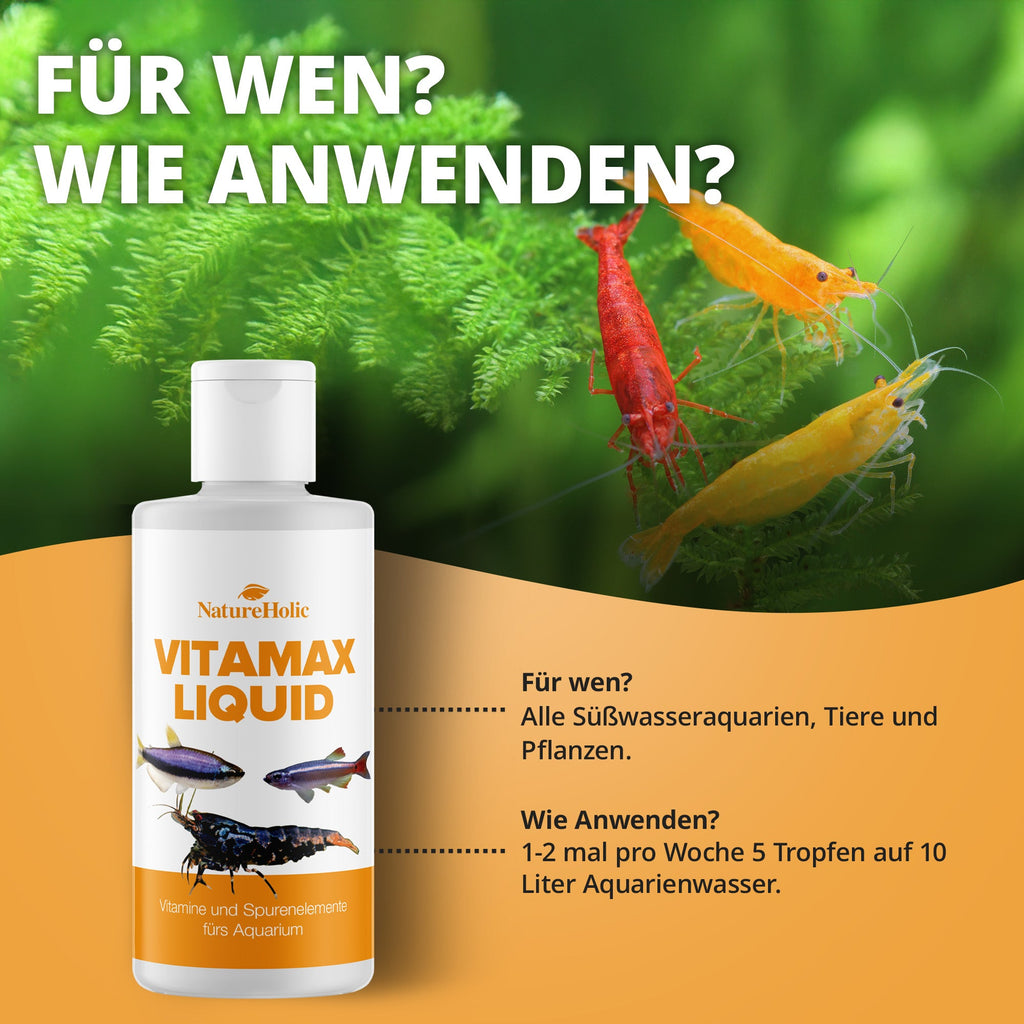 NatureHolic - VitaMax Liquid - 125ml - Vitaminkur fördert Vitalität, Wohlbefinden und Farbpracht