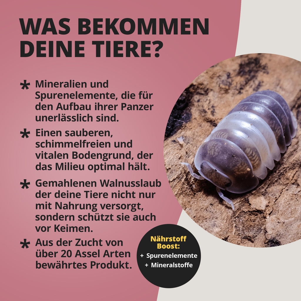 NatureHolic Assel Protect TerrainBoost - für die Bodenverbesserung im Asselterrarium
