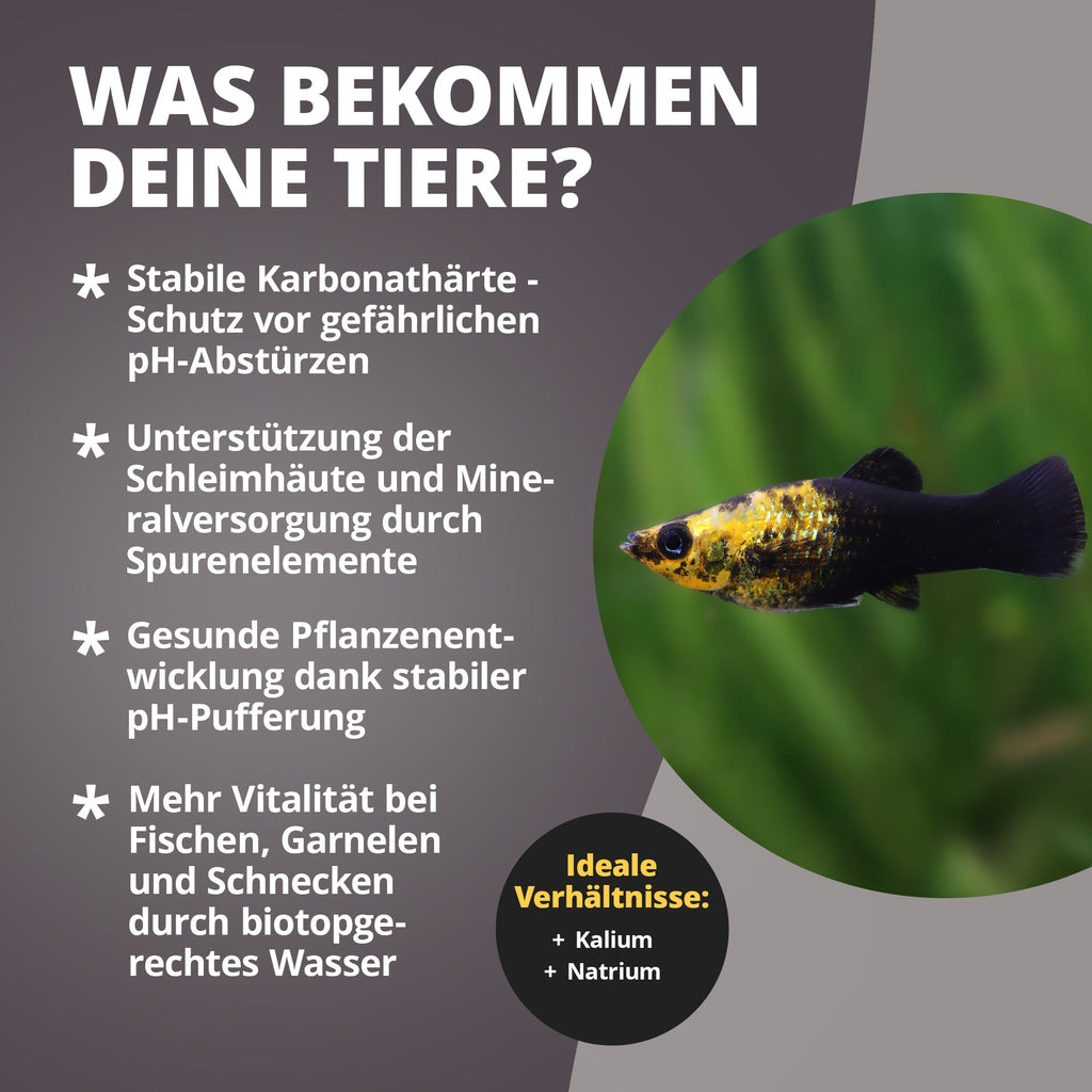 KH Salt Aufhärtesalz