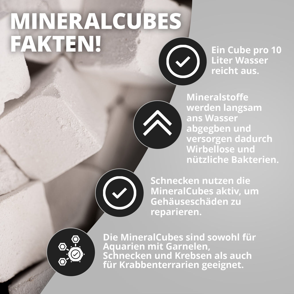 NatureHolic - MineralCube - Pure Mineral - 47ml