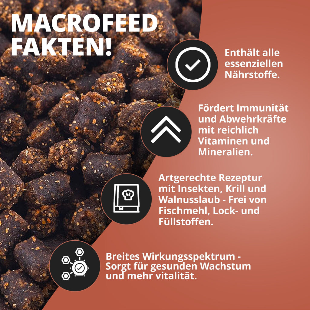 NatureHolic - Macrofeed / Großarmgarnelen-Futter - 30g