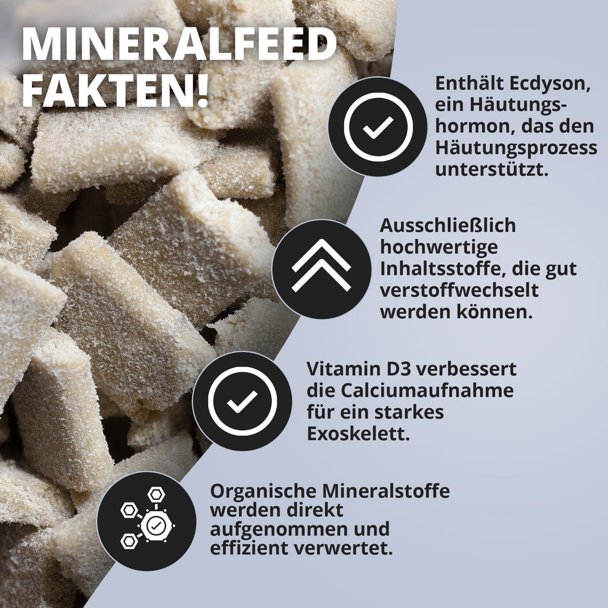 NatureHolic - Mineralfeed Garnelenfutter - 30g
