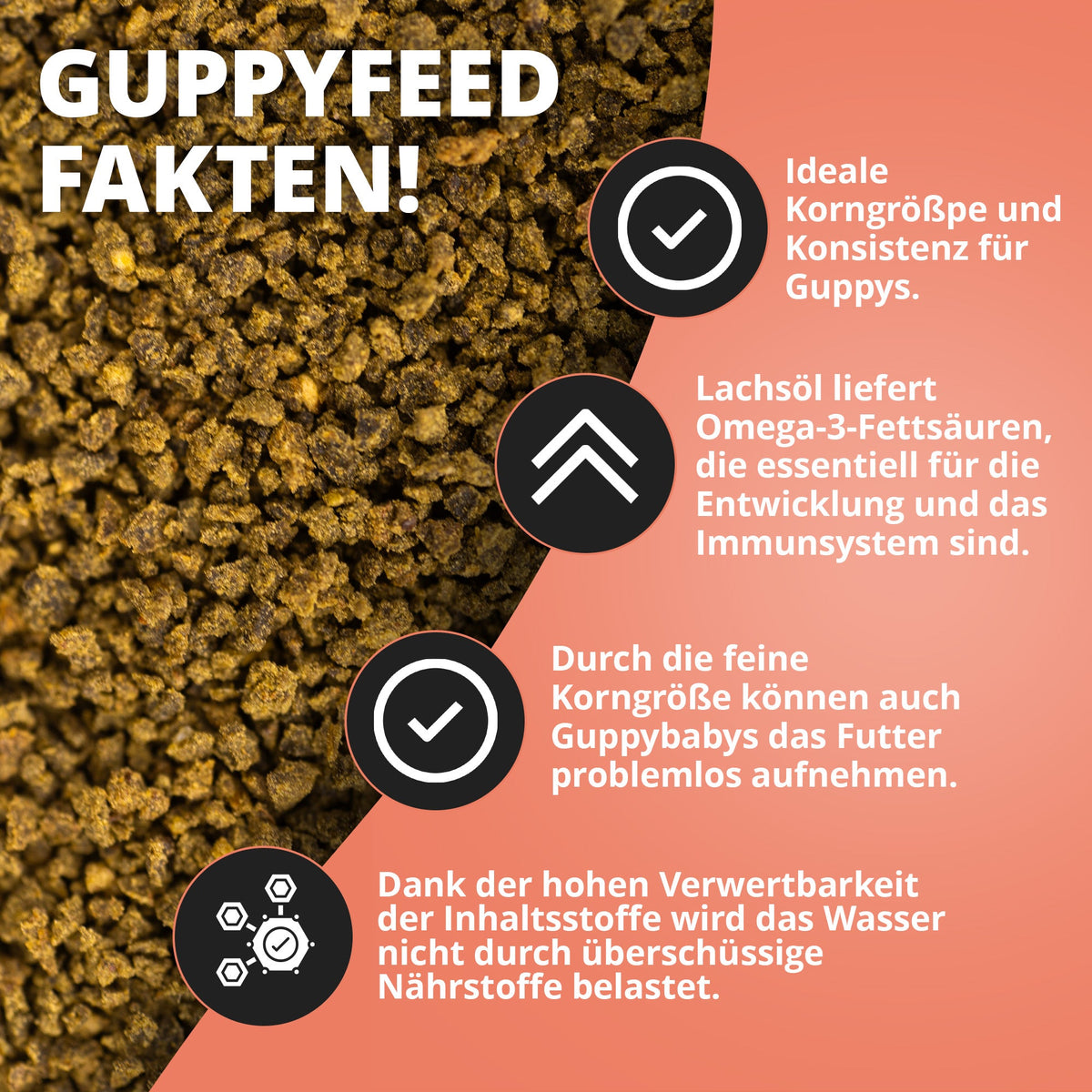 Guppyfeed